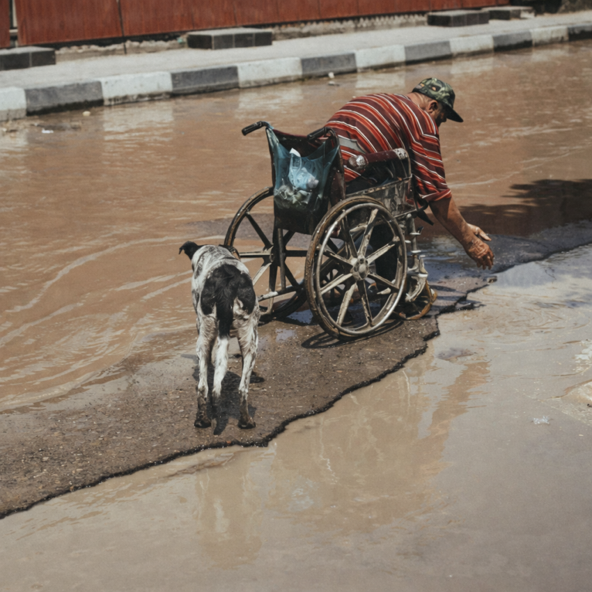 Man in a wheelchair reaching into floodwater as a dog stands beside him on a submerged street.