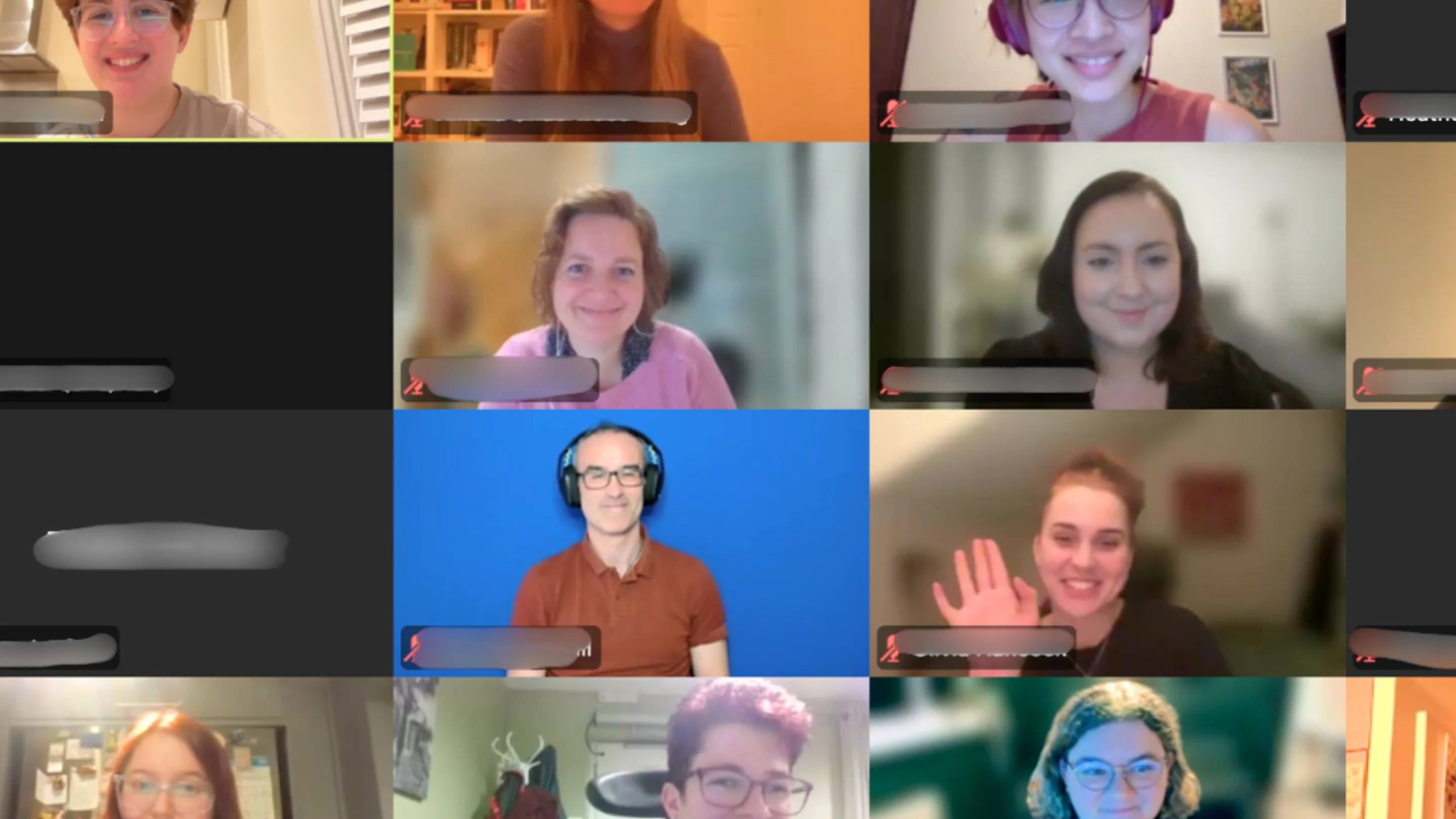 DLN members during a zoom call