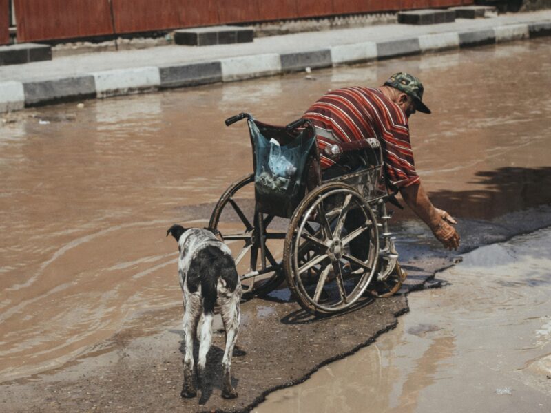 Man in a wheelchair reaching into floodwater as a dog stands beside him on a submerged street.