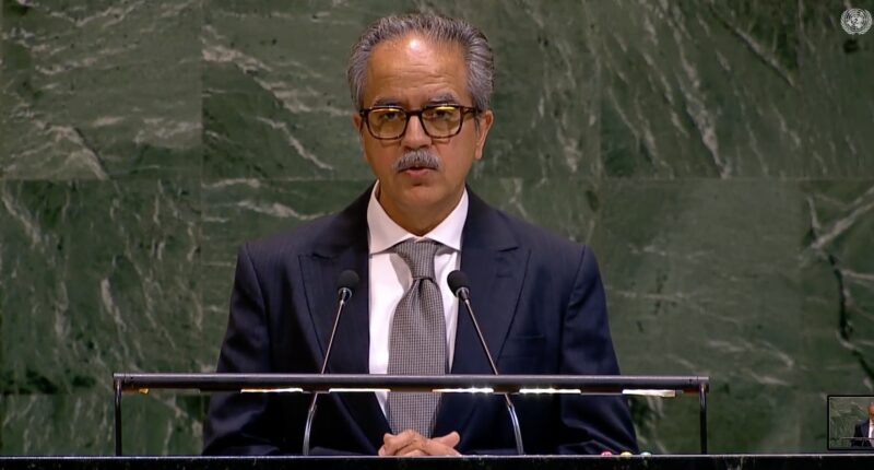 UN General Assembly adopts landmark  resolution on access to assistive technology
