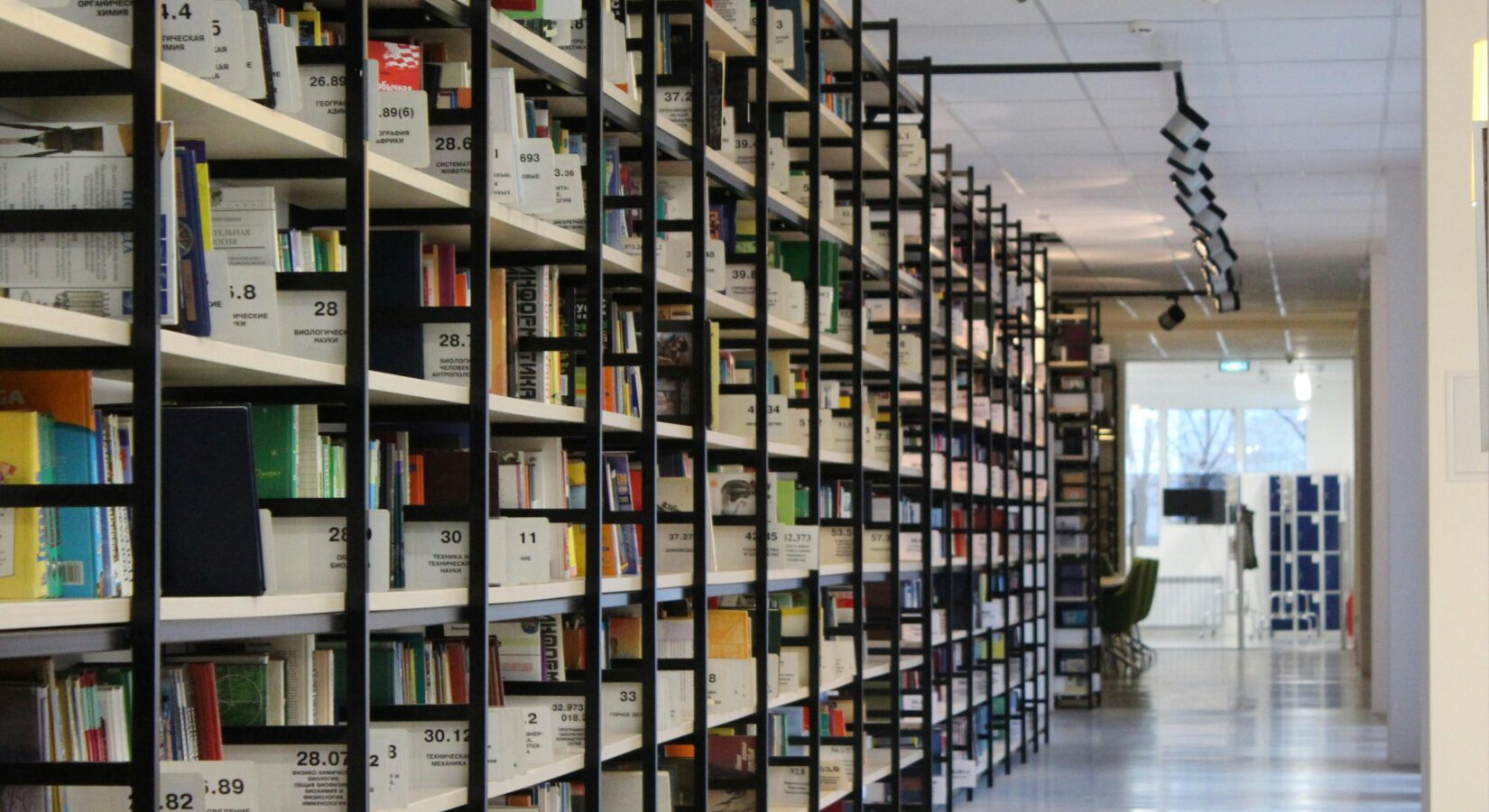 Book shelves filled with publications